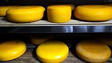 В РФ могут запретить ввоз молочной продукции из Азербайджана