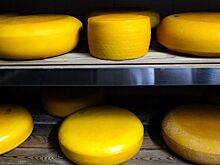В РФ могут запретить ввоз молочной продукции из Азербайджана