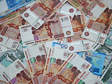 В России самозанятым предложили добровольно платить за больничные и декретные