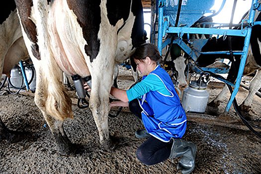 Молочники рассказали о перспективах роста цен на свою продукцию