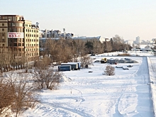 В Омске проверят работу комиссии по сносу деревьев после замечаний прокурора