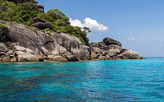 «Согласие» организовало возвращение на родину пострадавшей туристки