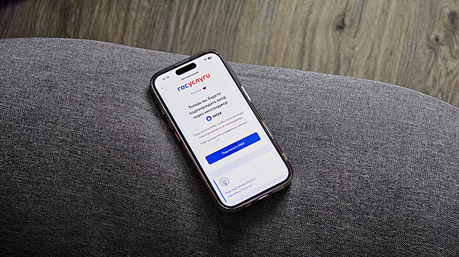 Стали известны способы войти на Госуслуги без мессенджера Max