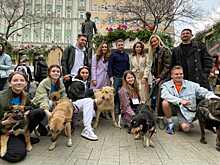 Влад Соколовский помогает бездомным животным найти дом