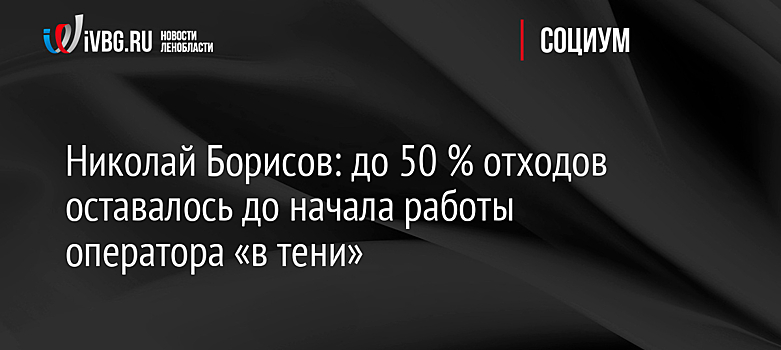 Николай Борисов: до 50 % отходов оставалось до начала работы оператора «в тени»