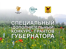 Андрей Кефер и Наталья Макарова обсудили итоги экспертизы спецконкурса для НКО