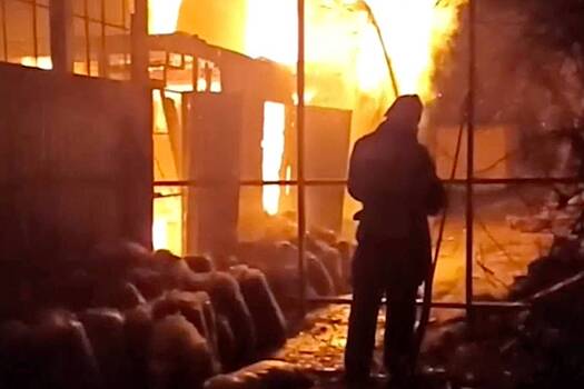 Зоопарк с экзотическими животными сгорел в Крыму. Почти никого из питомцев не удалось спасти
