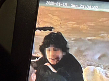 Задержан подозреваемый в убийстве юноши в Электростали