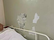 Александру Чепику посоветовали увидеть железногорскую горбольницу