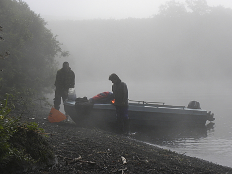 Дафнии во время плейстоценового оледенения выживали в Беринговом регионе