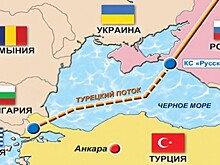 Слуцкий рассчитывает на единогласную ратификацию «Турецкого потока»