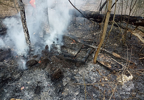 В Челябинской области ликвидировали первые в сезоне лесные пожары