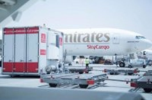 Неудачный год для отрасли оказался удачным для Emirates SkyCargo