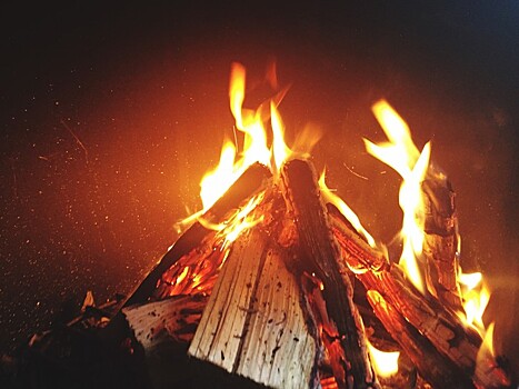 В ТПУ рассказали, как форма древесных отходов влияет на эффективное горение