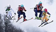 Омелин стал третьим в ски-кроссе на шведском этапе КМ