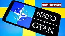 Политолог Ведерников объяснил, почему Венгрия не против вступления Швеции в НАТО