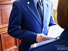 В Курской области нашли госслужащих, представивших неверные налоговые декларации