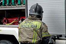 В Новосибирске на 8-м этаже дома загорелся балкон, пожарные спасли 6 человек