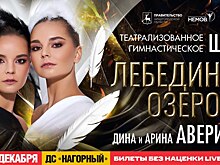 Театрализованное гимнастическое шоу «Лебединое озеро» с участием сестёр Авериных состоится в Нижнем Новгороде в преддверии Нового года