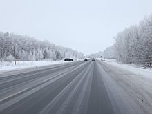 Для строительства Северного обхода Омска вырубят более 1300 деревьев