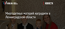 Многодетных матерей наградили в Ленинградской области