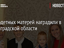 Многодетных матерей наградили в Ленинградской области