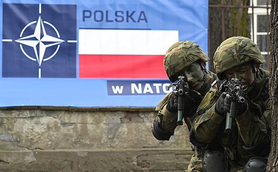 В Польше призвали нарастить потенциал НАТО против РФ