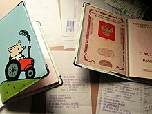 Выдача загранпаспортов в Татарстане выросла почти на треть