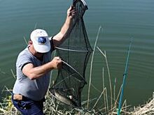 Акция «Знатный улов». Заколдованные часики