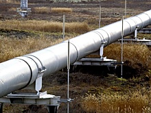 В Тюмени раскрыли картель, заработавший на торгах 15 миллиардов рублей