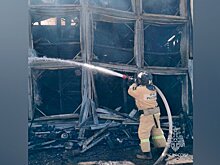 Пожар в здании птицефабрики в Астраханской области локализован