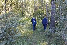 Спасатели вывели из лесов в Подмосковье с начала года около 1,1 тыс. заблудившихся
