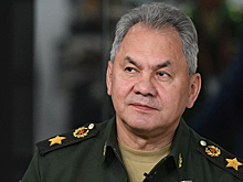 Шойгу потребовал разобраться с антирусскими провокаторами