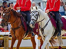 Собянин поддержал проведение второго фестиваля «Конное достояние России»