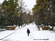 Синоптики прогнозируют аномально теплый январь в Москве