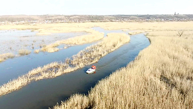 Весенний паводок добрался до Воронежской области