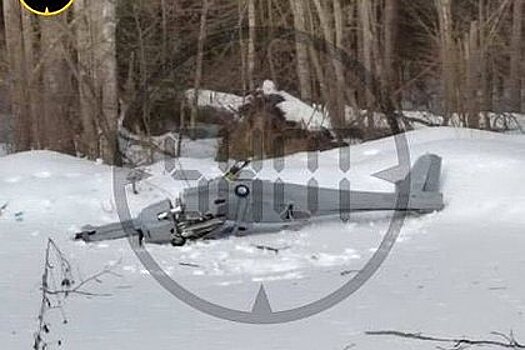 Появились снимки с места падения беспилотника в Подмосковье