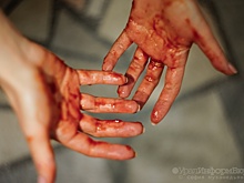 Расчленившего женщину жителя Тюменской области отправили на принудительное лечение