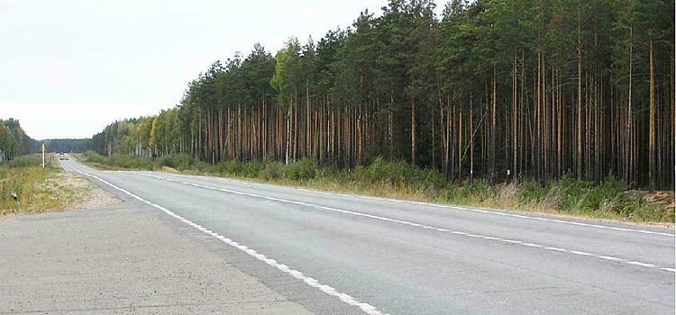 Упрдор обязали незамедлительно начать ремонт федеральной трассы «Кострома - Шарья - Киров - Пермь»