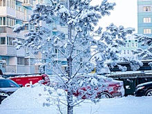 Декабрь-2025 начнется в Новосибирске с 30-градусных морозов