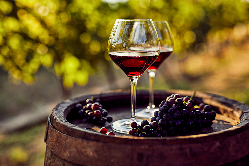 Мир может лишиться одного из самых популярных алкогольных напитков — вина. Виноградная лоза крайне чувствительна к температуре и влажности. Потепление, засухи, дожди и пыльные бури все чаще сказываются на урожае и разоряют виноделов.