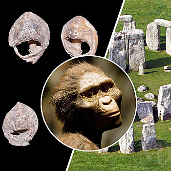 Случайное открытие века: археологи нашли древнейшее украшение на планете, возрастом 150 000 лет