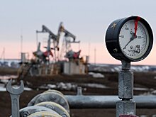 Sasapost (Египет): после нефтяной войны. Какое будущее ждет российскую нефть?