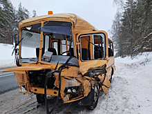 В Псковской области возбудили ещё одно уголовное дело из-за аварии, в которой пострадали дети