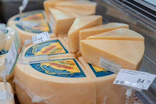 Поставки импортного сыра на Кубань за год сократились вдвое