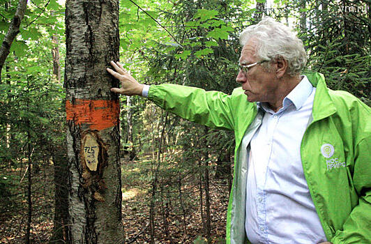 Экологи пригласили москвичей на экскурсию по партизанскому лесу