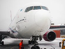 Авиаперевозчиков просят определять нетрезвых пассажиров до взлета