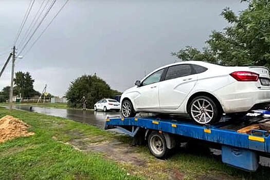 В Воронежской области пьяный дед вез внучек за конфетами в багажнике