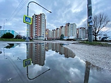 Работы на полгода: Что сделают на Автомобильной в Калининграде в следующем году 