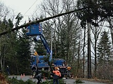 Во Франции выросло число домов, оставшихся без света из-за шторма "Амели"